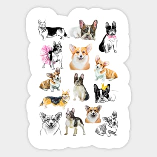 corgis and bulldogs Sticker